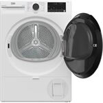 Beko B3T42249S