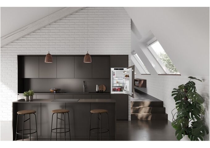 LIEBHERR IRSe 3901-22