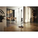 Miele Triflex HX2 CarCare
